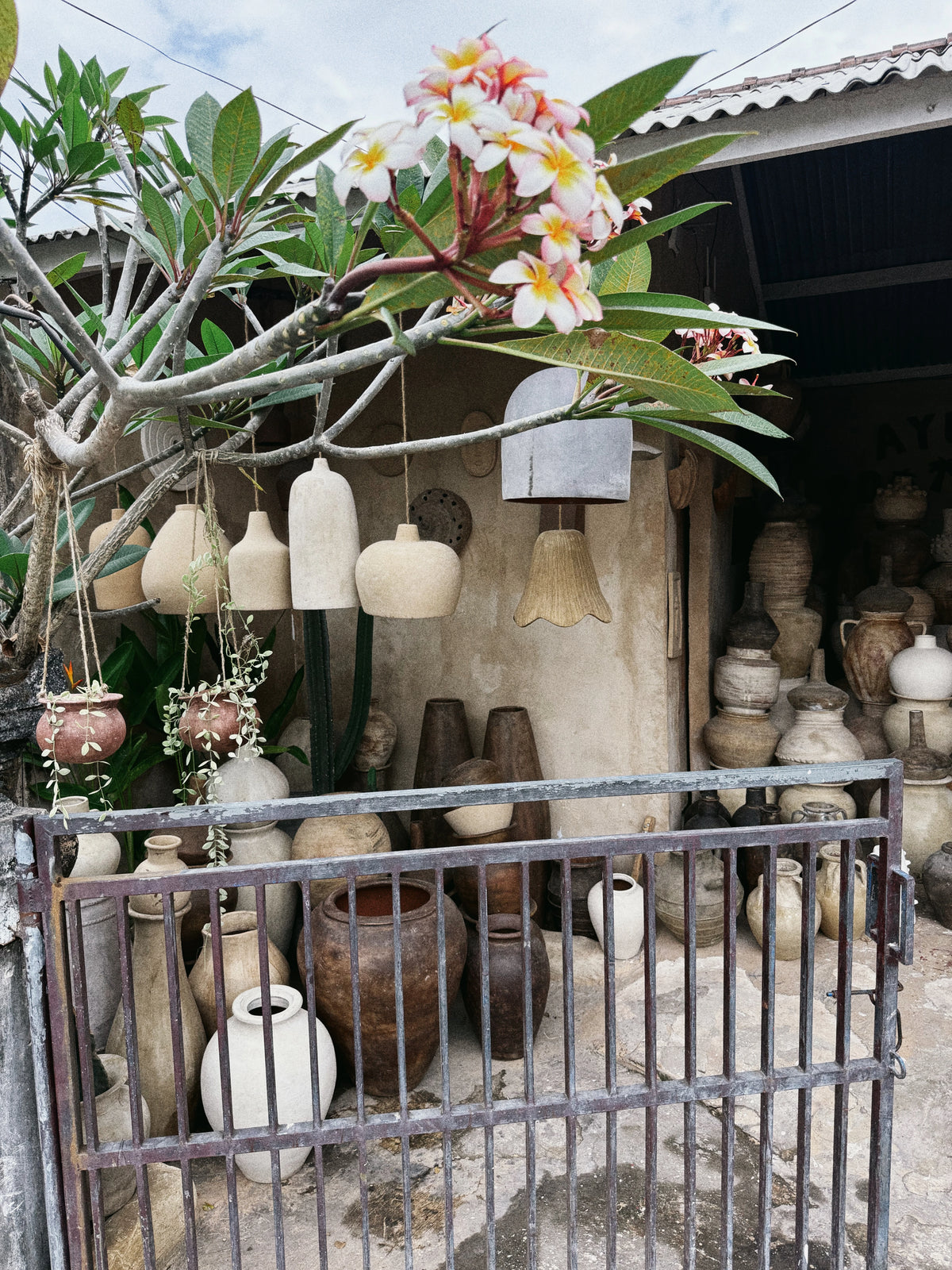 Kwitnące drzewo nad ekspozycją waz i wiszących kloszy.