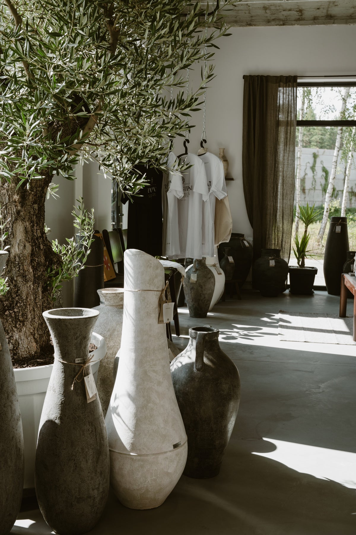 Wnętrze showroomu Frangipani z drzewem oliwnym i kolekcją waz
